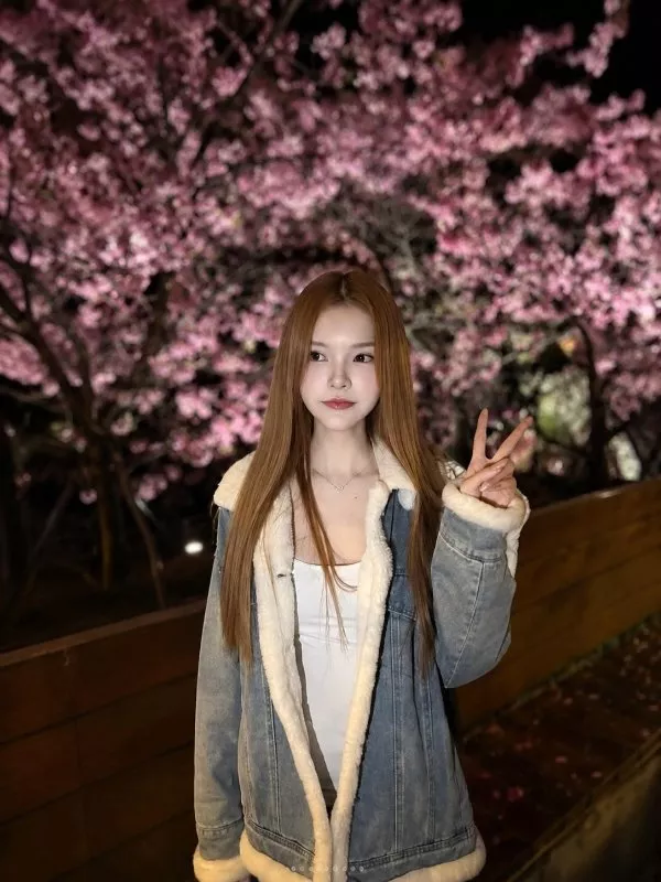 莫妮卡